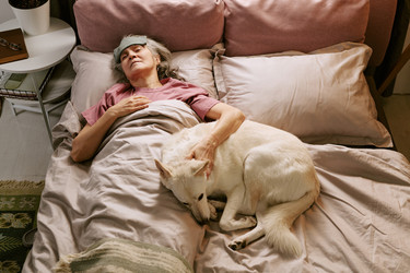 Similar image 22531728