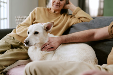 Similar image 22531684