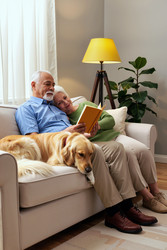 Similar image 22529057