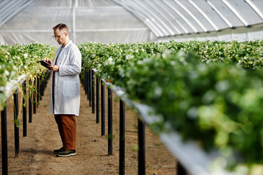 Similar image 22527974