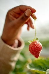 Similar image 22527867