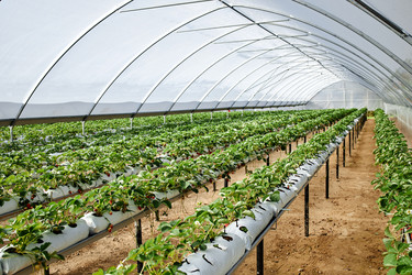 Similar image 22527799