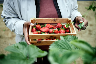 Similar image 22527914