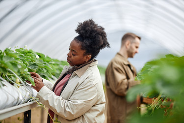 Similar image 22527829