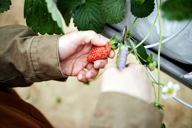 Similar image 22527916