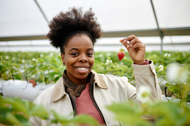 Similar image 22527910