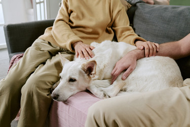 Similar image 22531699