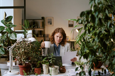 Similar image 22531303