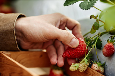 Similar image 22527835