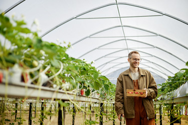 Similar image 22527924