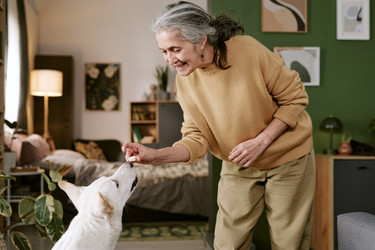 Similar image 22531508