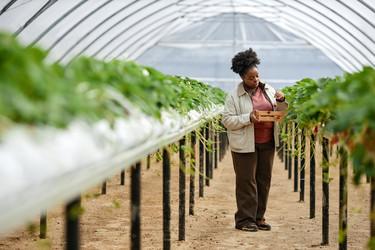 Similar image 22527846