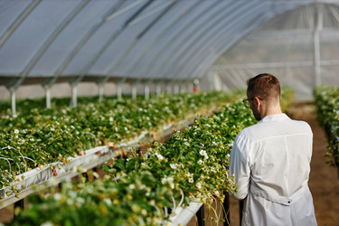 Similar image 22527807