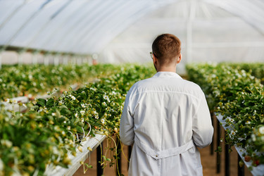 Similar image 22527802