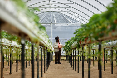 Similar image 22527890