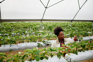 Similar image 22527904