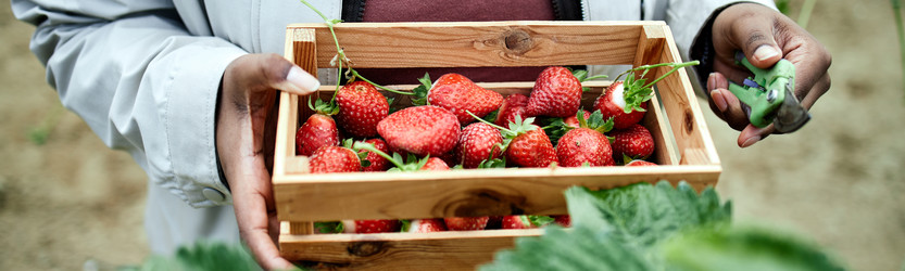 Similar image 22527888