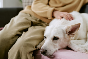 Similar image 22531687