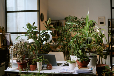 Similar image 22531327