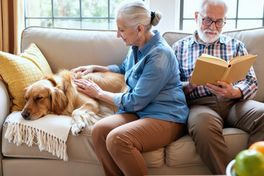 Similar image 22529017