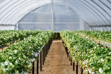 Similar image 22527819