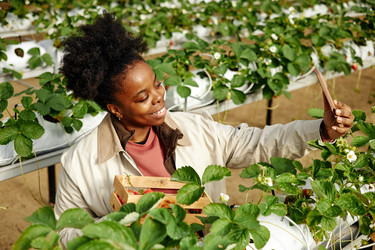 Similar image 22527928