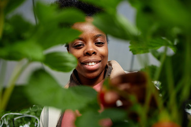 Similar image 22527879