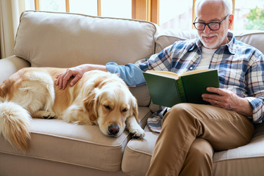 Similar image 22529013