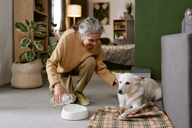 Similar image 22531497