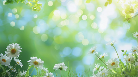 Similar image 22581689