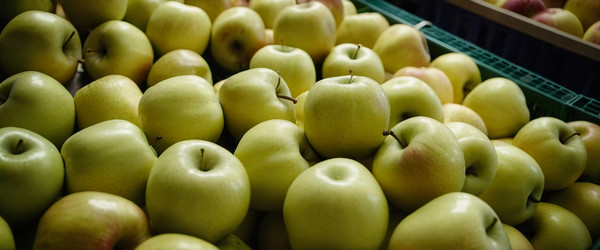 Similar image 22503881