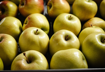 Similar image 22579593