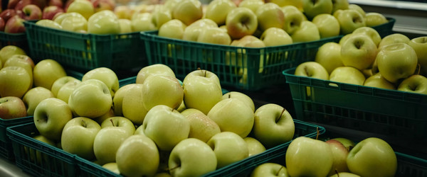 Similar image 22579713