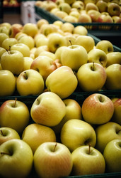 Similar image 22579845