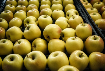 Similar image 22579966