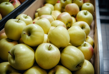 Similar image 22585065