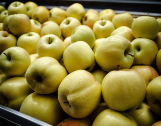 Similar image 22594285