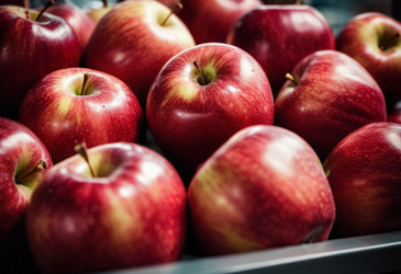 Similar image 22585066