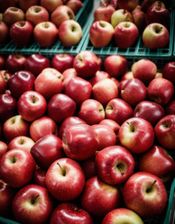 Similar image 22594407