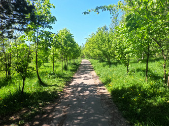 Similar image 22581543