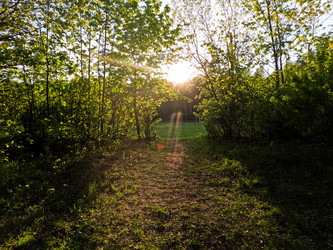 Similar image 22581926