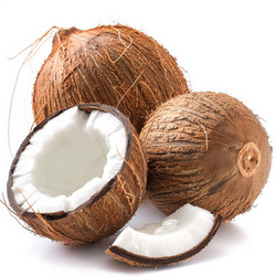 Similar image 22581695