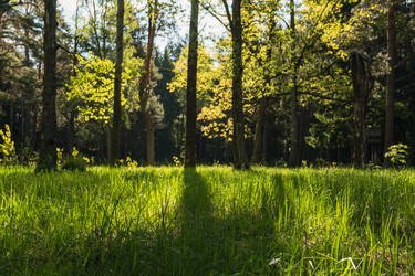 Similar image 22581737