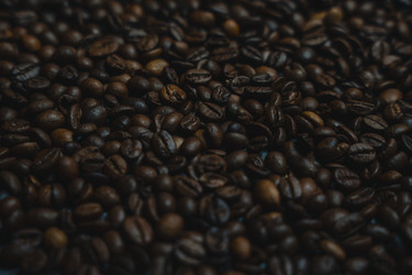 Similar image 22581547