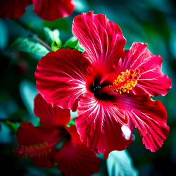 Similar image 22594450