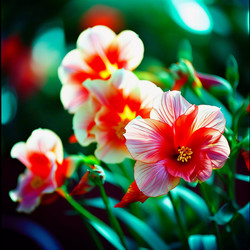 Similar image 22579757