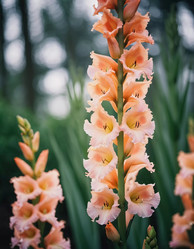 Similar image 22594451