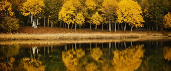 Similar image 22580010