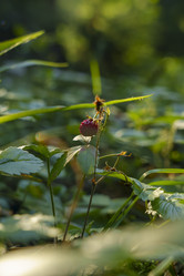 Similar image 22581675