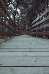 Similar image 22581829